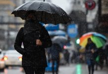SENAPRED declara Alerta Amarilla para las región de Los Ríos y Los Lagos por intensas precipitaciones y riesgo de remociones en masa