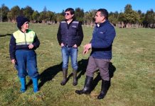 Seremi de Agricultura llama a agricultores y ganaderos de Los Lagos a reforzar medidas preventivas ante heladas y sistema frontal