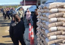 Rubro advierte «estrechez» en stock de pellet, pero descarta desabastecimiento