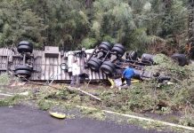 Accidente en Puyehue: Conductor de Mendoza queda atrapado tras volcar camión con matrícula chilena en Ruta Internacional