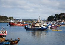 Gobierno Regional entrega más de $200 millones para fortalecer la pesca artesanal y actividades productivas en Calbuco
