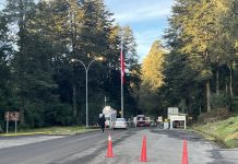 Más de 3.700 camiones circularon por Paso Internacional Cardenal Samoré durante el cierre de Libertadores