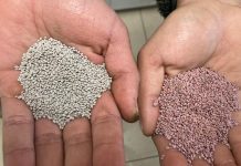 Peletizado: un abrigo de bacterias benéficas para que la alfalfa sobreviva en verano