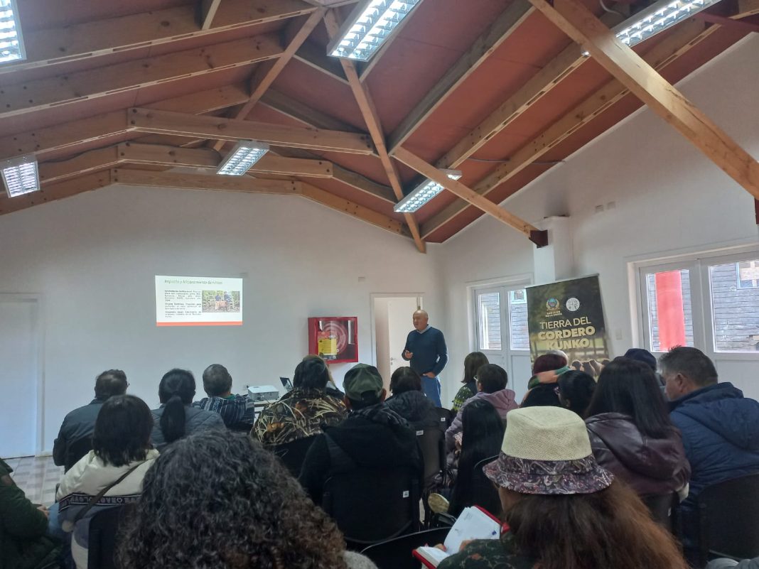 WhatsApp Image 2026-07-20 at 18.28.44
