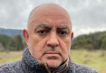 Consejo ovino regional de Los Lagos llama a las autoridades a encontrar soluciones rápidas ante daño provocado por perros
