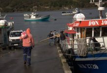 Desempleo en Los Lagos trepa a 7,7% y académico de la ULagos propone implementar flexibilidad laboral