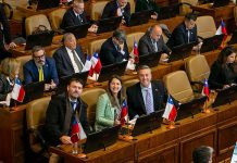 Lanzan idea para suspender la Ley Karin por cinco años: diputada Paulina Muñoz dice que norma impactó en el empleo femenino