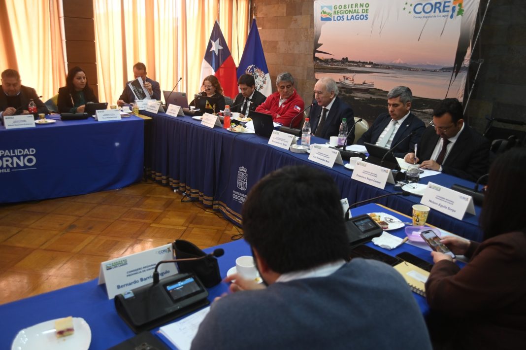 foto sesión plenaria Osorno (1)