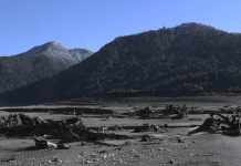 Preparan demandas contra Colbún por daños en Lago Chapo, mientras se espera el plan de reparación