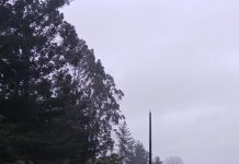 Saesa activa monitoreo preventivo de la red eléctrica por sistema frontal pronosticado para la zona sur