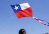 Entregan consejos para celebrar Fiestas Patrias con energía y seguridad