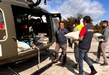 FACH y Ministerio de Agricultura despliegan tercer puente aéreo para trasladar alimento a ganaderos de Lago Vidal Gormaz en Cochamó