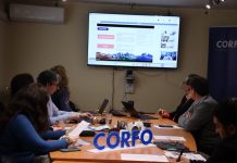 Los Lagos impulsa seis iniciativas de innovación por 651 millones de pesos con foco en soluciones para la acuicultura