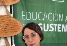 Educadora osornina de Junji Los Lagos es semifinalista del Global Teacher Prize Chile 2026