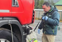 Brigada Canina del SAG intercepta más de 13 kg de productos de riesgo ocultos en camión procedente de Brasil