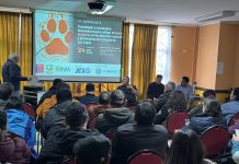 Analizan tecnologías y estrategias para enfrentar el impacto de perros en sistemas productivos y naturales de Los Lagos
