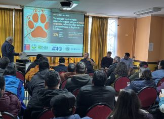Analizan tecnologías y estrategias para enfrentar el impacto de perros en sistemas productivos y naturales de Los Lagos
