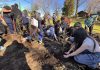 Iniciativa Miyawaki consolida 33 bosques de bolsillo en Osorno