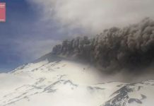 Nevados de Chillán registra pulso eruptivo de 380 metros y mantiene Alerta Técnica Amarilla