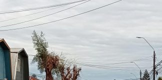 Joven de 21 años muere tras accidente vehicular en Rahue Alto