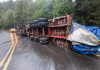 Tránsito habilitado en Paso Samoré con horarios diferidos para Chile y Argentina
