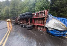 Accidente en cercanía de Paso Samoré: Tránsito de salida de Chile está suspendido