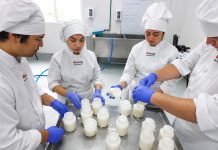 INACAP Osorno abrirá sus puertas este 29 de septiembre para dar a conocer sus carreras y oportunidades de estudio