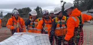 Llegan las primeras sillas del Puente Chacao, elementos clave para instalación de la superestructura