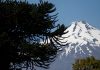Sernageomin decreta Alerta Amarilla para el volcán Villarrica tras aumento de sismicidad y explosiones menores
