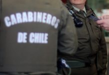 Carabineros detuvo a imputado por abigeato tras operativo en sector rural de San Pablo