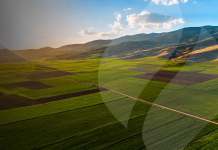 CNA recibe aprobación de la FNE para adquirir Nutrien Ag Solutions Chile S.A.