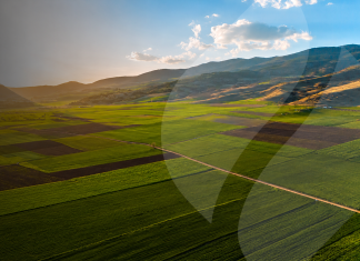 CNA recibe aprobación de la FNE para adquirir Nutrien Ag Solutions Chile S.A.