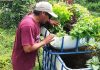 Capacitarán gratuitamente en acuiponía a familias campesinas y acuícolas de Osorno y San Juan de la Costa