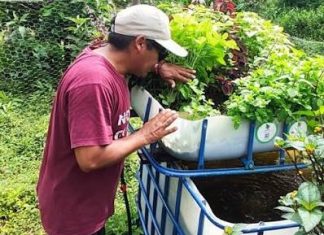 Capacitarán gratuitamente en acuiponía a familias campesinas y acuícolas de Osorno y San Juan de la Costa