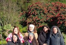 Desarrollan iniciativa de acompañamiento a madres cuidadoras en Frutillar
