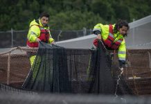 Seremi del Trabajo remarca aumento del presupuesto para el subsidio laboral, en medio de la crisis del empleo