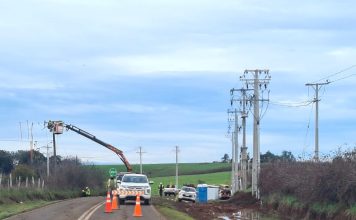 Saesa realizará nuevos trabajos de mejoramiento de la red eléctrica en La Unión y Lago Ranco