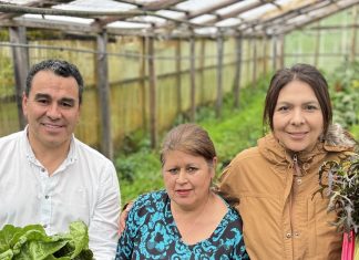 Cecilia Guineo Colguen, mujer chilota, es reconocida a nivel mundial por la FAO