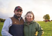 INDAP entrega más de $976 millones para impulsar la agricultura familiar en la región de Los Lagos