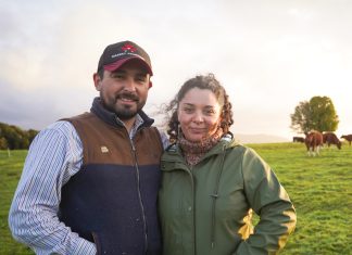INDAP entrega más de $976 millones para impulsar la agricultura familiar en la región de Los Lagos
