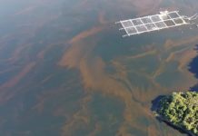 FAN: Ciencia e industria activan planes de contingencia en la zona sur austral ante alerta preventiva