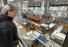 Exportaciones de Los Lagos repuntan un 10,9% en agosto impulsadas por la industria y el sector salmonero