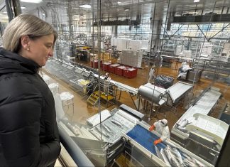 Exportaciones de Los Lagos repuntan un 10,9% en agosto impulsadas por la industria y el sector salmonero
