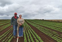 INDAP abre postulaciones a créditos de corto plazo con tasa preferencial del 4% anual en Los Lagos