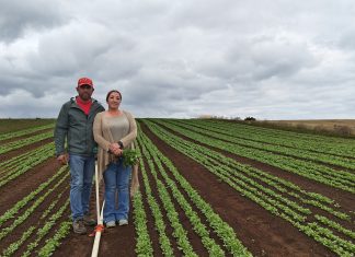 INDAP abre postulaciones a créditos de corto plazo con tasa preferencial del 4% anual en Los Lagos