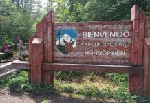 Parque Nacional Hornopirén cumple 38 años de conservación ambiental en la Región de Los Lagos