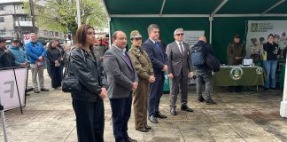 Expo Carabineros 2026 exhibe sus especialidades policiales este miércoles en la Plazuela Yungay de Osorno