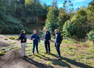 Histórico fallo ambiental en Chile: condena de 5 años de presidio y multa de más de $2.100 millones contra empresario por contaminación de humedal