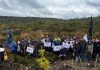 Comunidad Coihuín de Compu culmina proyecto de restauración de bosque nativo