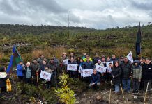 Comunidad Coihuín de Compu culmina proyecto de restauración de bosque nativo